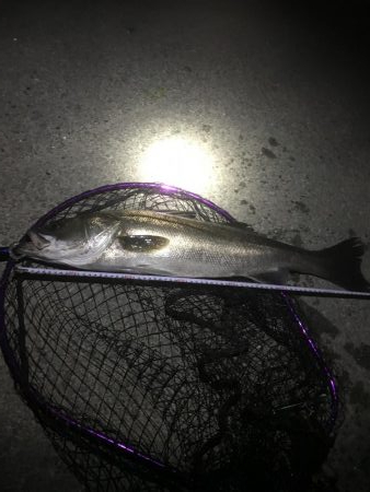 めげずに頑張りました(ToT)