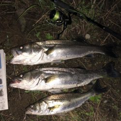 ががっときました。