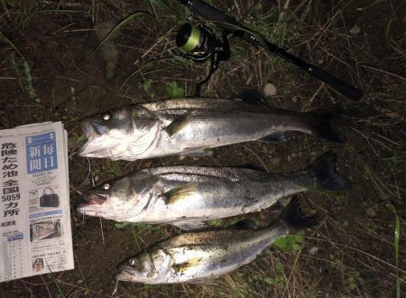 ががっときました。