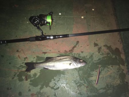 @バチも終わりに