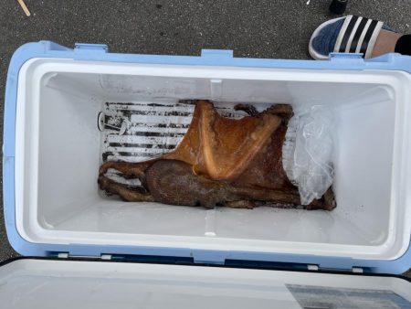 初オクトパッシング