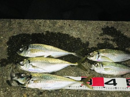 ボーナス確定‼️