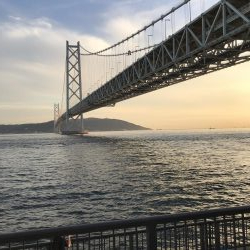 小豆サイズ豆アジ