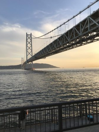 小豆サイズ豆アジ