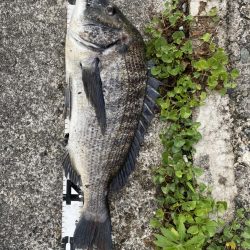 イチノ兄弟、釣果！