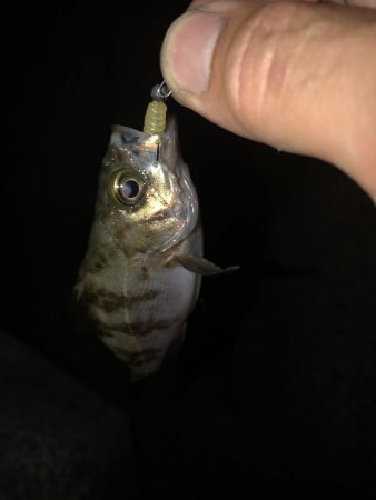 先週よかった地元へ