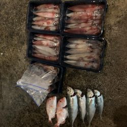 今年初のイカメタル