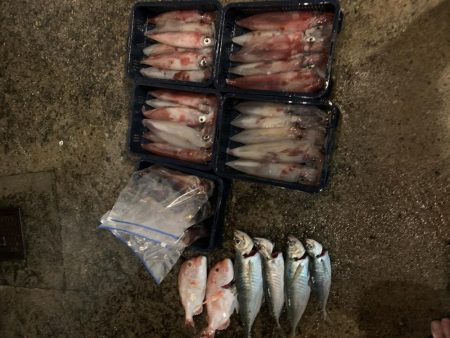 今年初のイカメタル