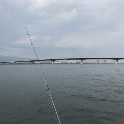 空港の豆アジデカめ