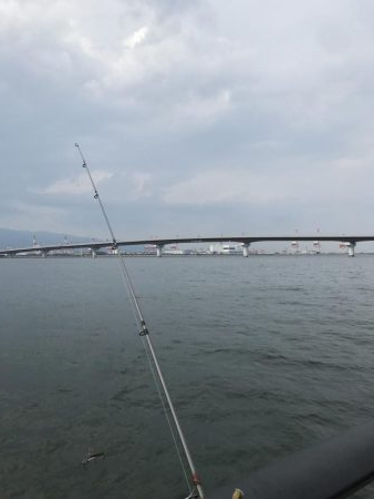 空港の豆アジデカめ