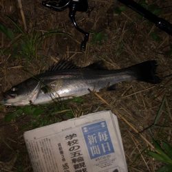 ががっときました。