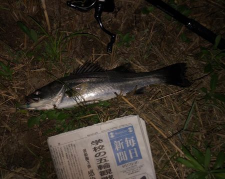 ががっときました。