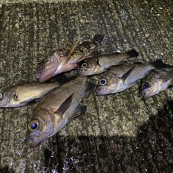 短時間メバリング