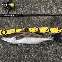 @ちょこっと遠征デイゲーム