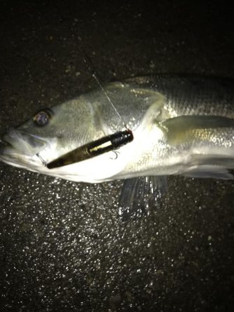 淀川トップゲーム