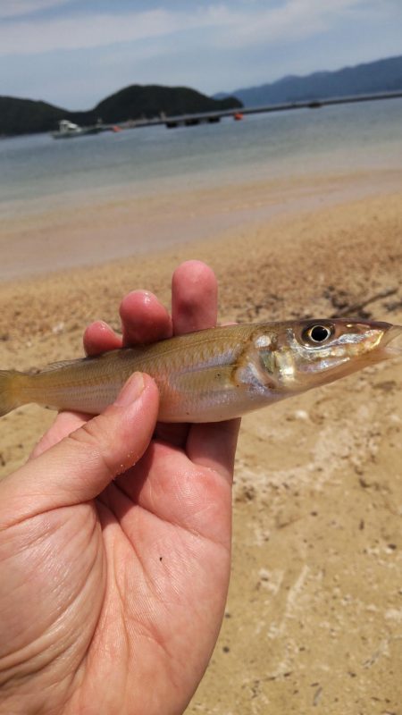 小物釣り・・・