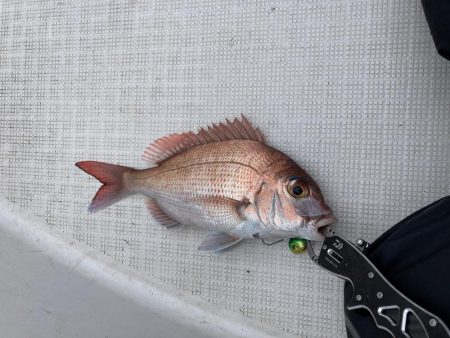 初の一つテンヤ