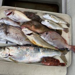 魚のやる気が・・⁉︎