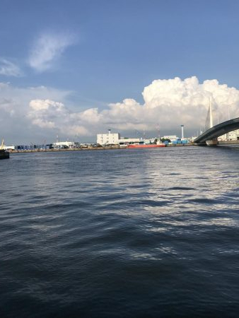 ダイソーマイクロジグ