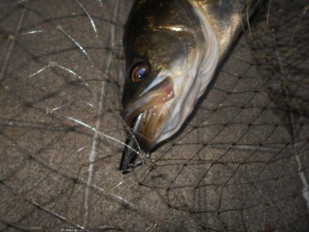 得意技?でヒット