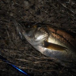 今度は爆撃メソッドで