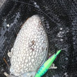 久しぶりに地元で