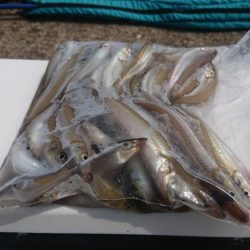 日本海のキスは最高