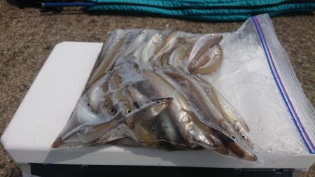 日本海のキスは最高