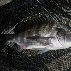 スローフォール