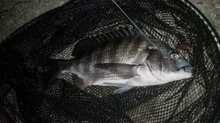 スローフォール