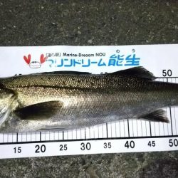 梅雨メバリング　外道のオンパレード