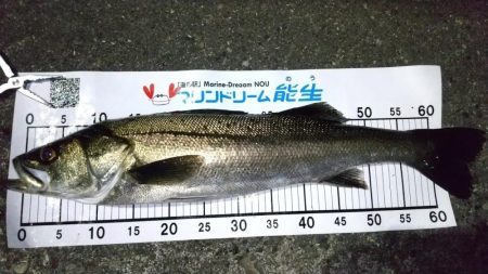 梅雨メバリング　外道のオンパレード