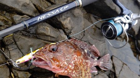 やっと釣れたー!