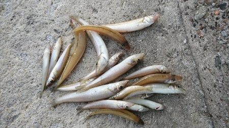 時合いを捉えるのが難しい