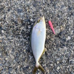 やっと夏っぽくなってきました!