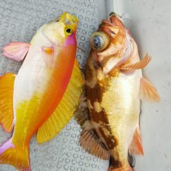 ネギング10目釣り