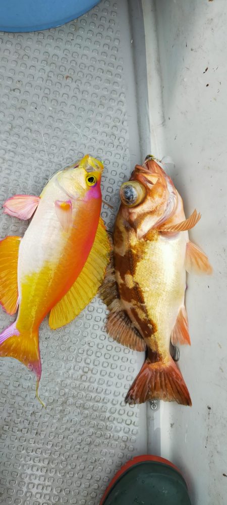 ネギング10目釣り