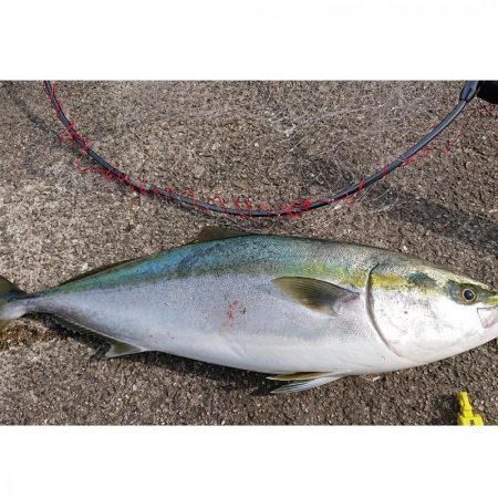 ショアジョギング