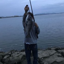 ヒラメ釣ってからルアーで釣れるまで半年かかってしまった。嬉しさ100倍