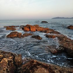 フカセ‥最高ですネ・・