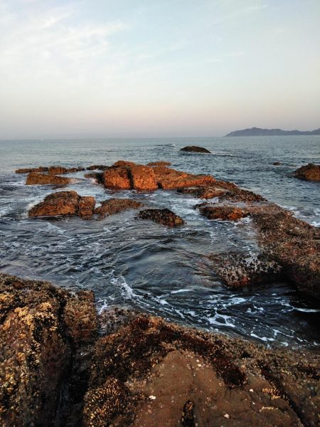 フカセ‥最高ですネ・・