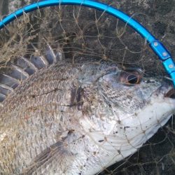 釣りデビュー 164日目