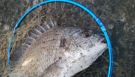 釣りデビュー 164日目