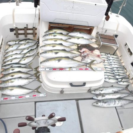 SOUTH 乗合便4名様釣果