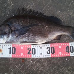 釣りデビュー 168日目❤