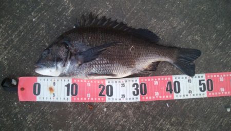 釣りデビュー　168日目❤