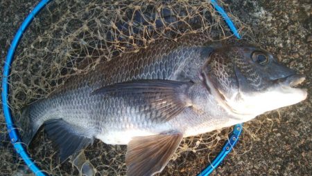 『釣りデビュー』！169日目❤…