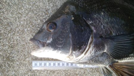 『釣りデビュー⭐』170日目…