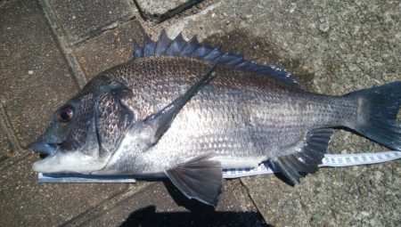 『釣りデビュー❗』171日目…