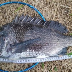 『釣りデビュー❤』172日目❗❗